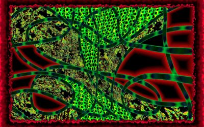 abstract art 25