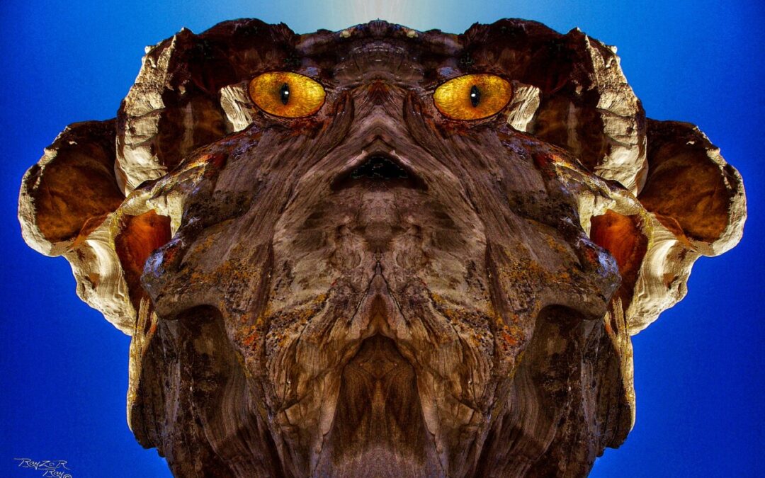 faces 13