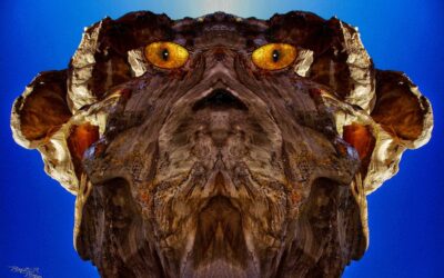 faces 13