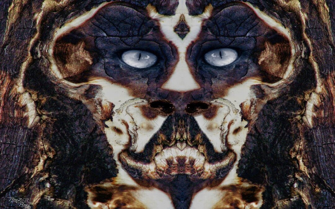 faces 15