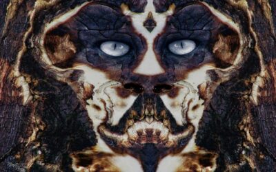 faces 15