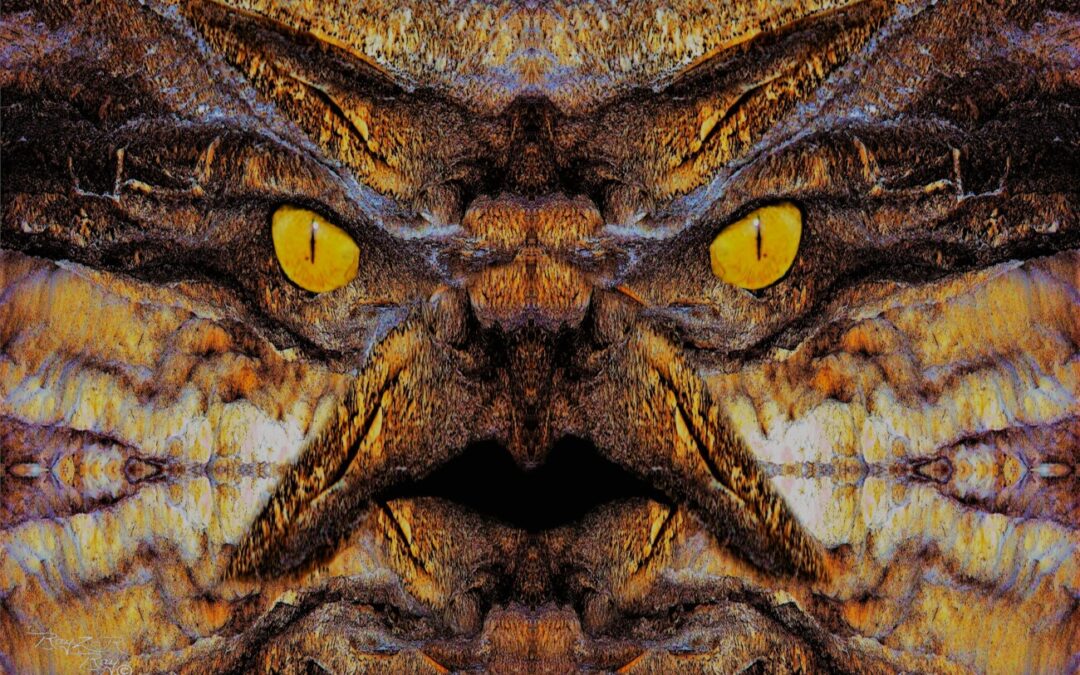 faces 18