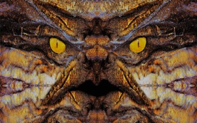 faces 18