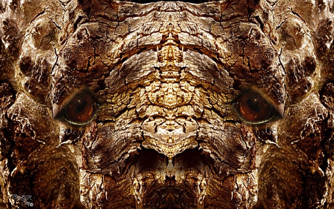 faces 2