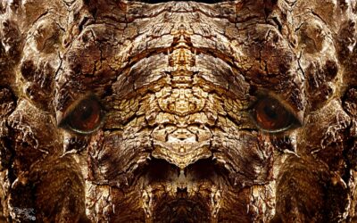 faces 2