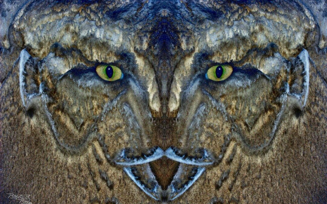 faces 21