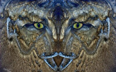 faces 21