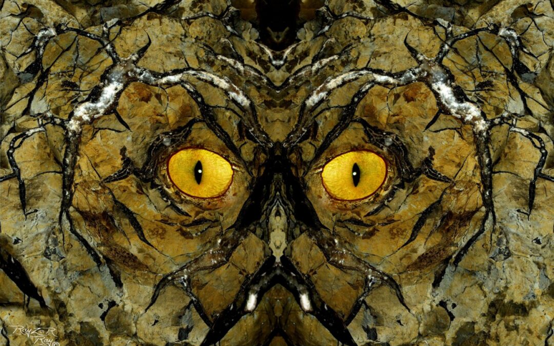 faces 23