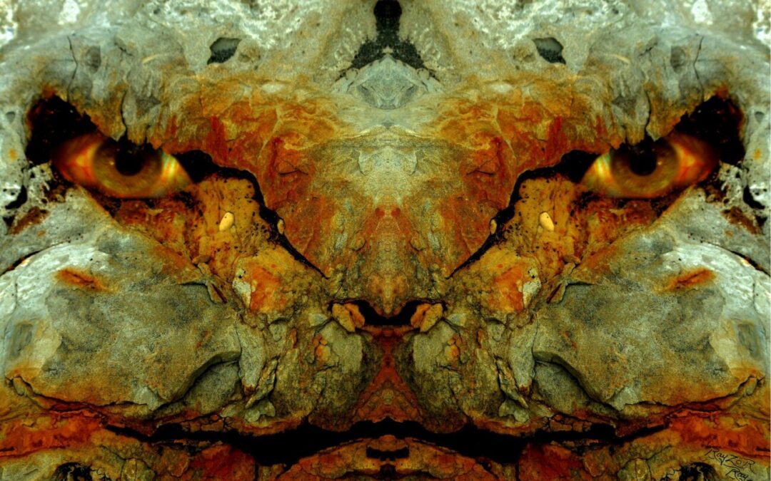faces 24