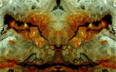 faces 24