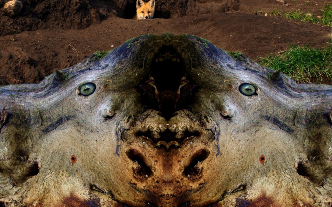 faces 3