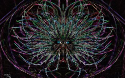 faces 4