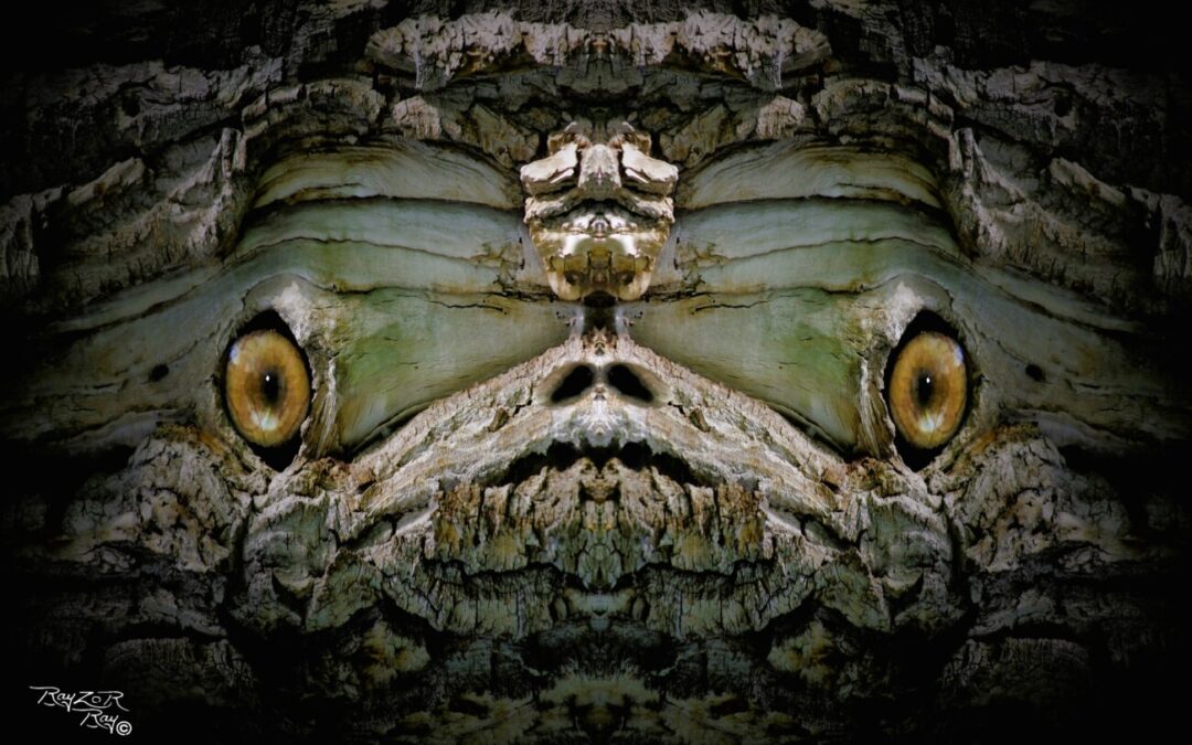 faces 7