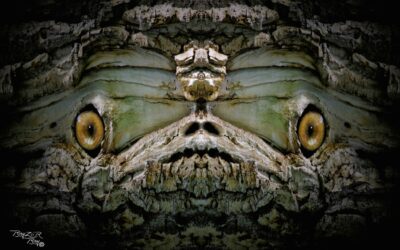 faces 7